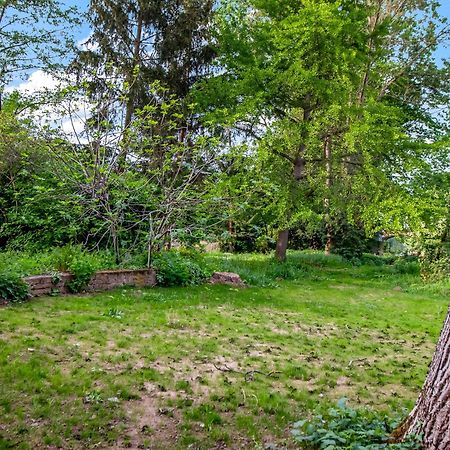 Altstadt Apartment Am Wasser Mit Parkplatz Und Riesigem Garten Bad Kreuznach Bagian luar foto