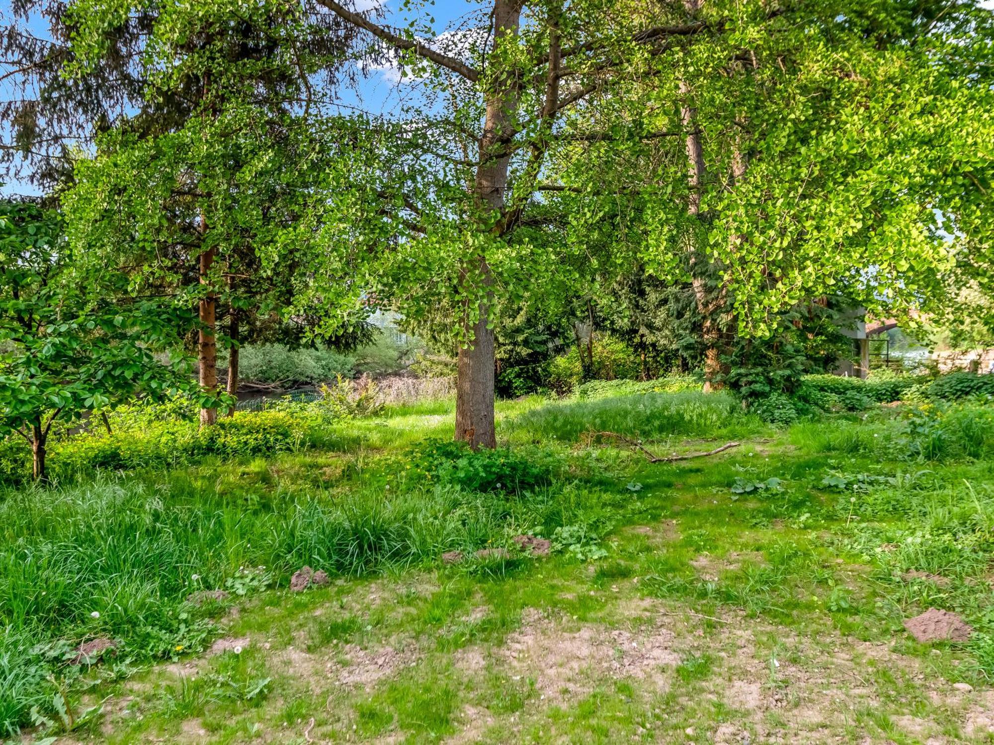 Altstadt Apartment Am Wasser Mit Parkplatz Und Riesigem Garten Bad Kreuznach Bagian luar foto